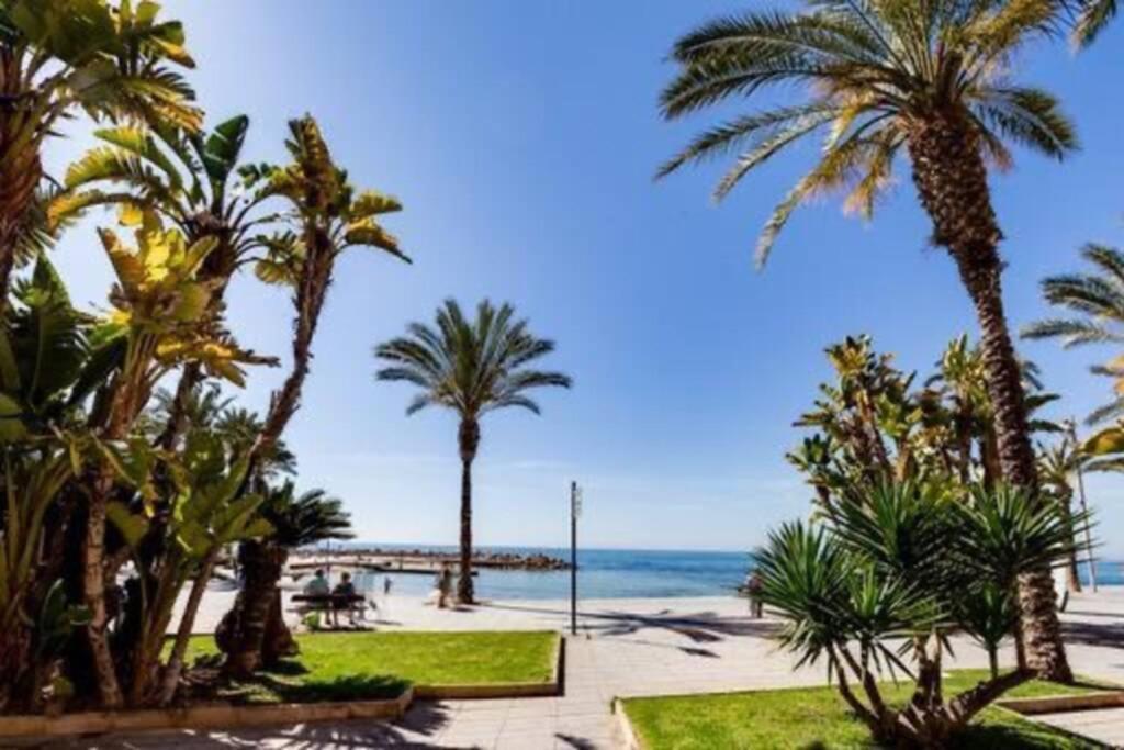 Apartament Penthouse Ramon G-Playa Del Cura Torrevieja Zewnętrze zdjęcie